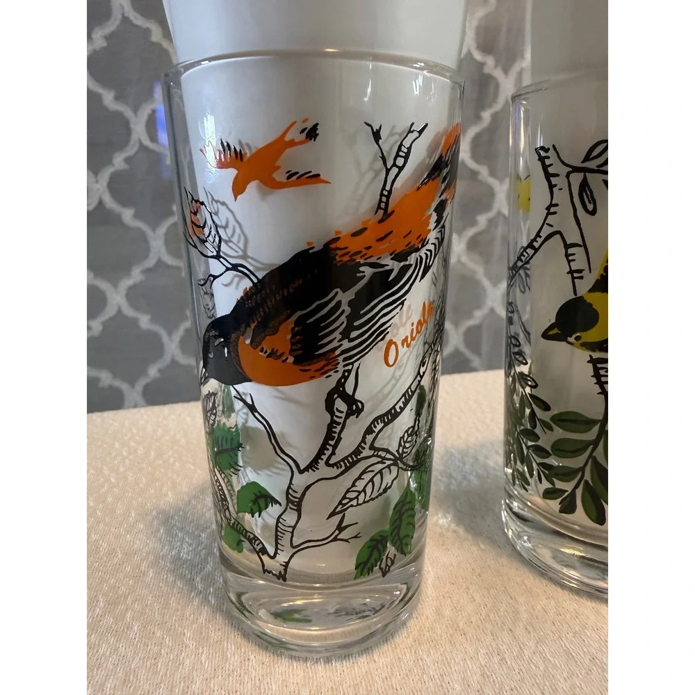 Vintage Bird Drinking Glasses Set of 2 Goldfinch and Oriole Highball Tumblers